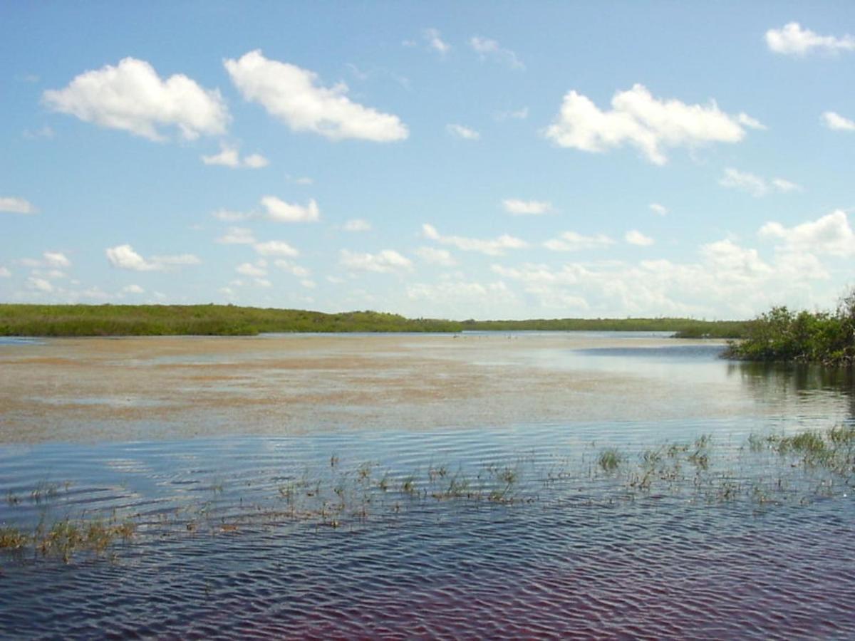 Buttonwood Reserve 2A James Cistern Εξωτερικό φωτογραφία